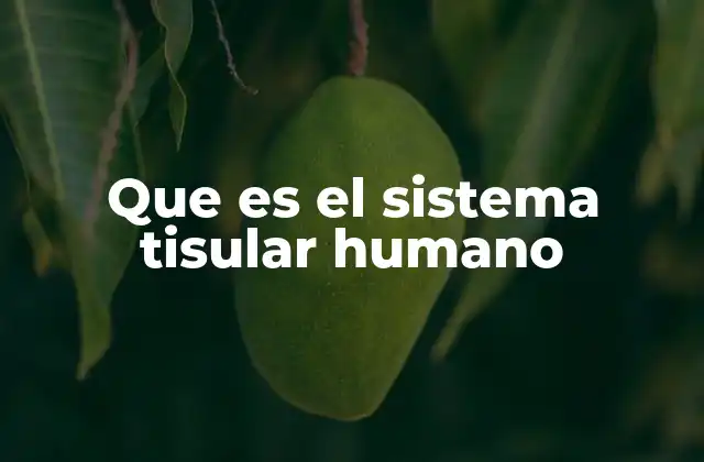 Que es el Sistema Tisular Humano