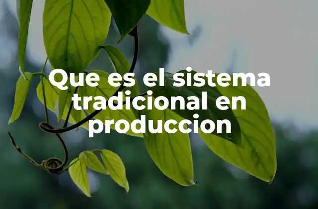 Características del sistema tradicional de producción