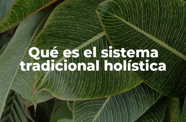 Qué es el Sistema Tradicional Holística
