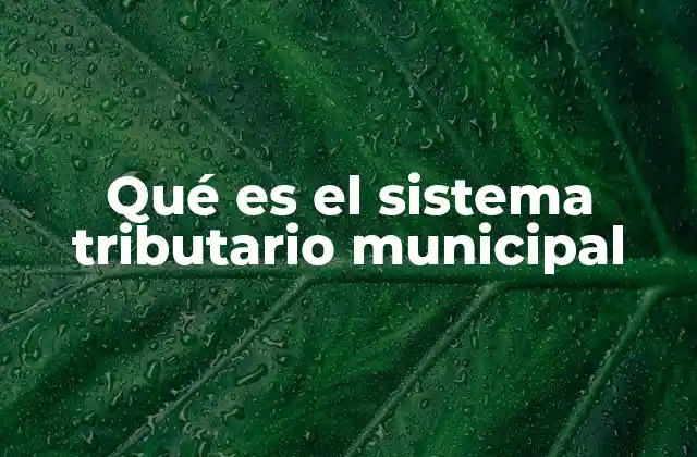 Qué es el Sistema Tributario Municipal