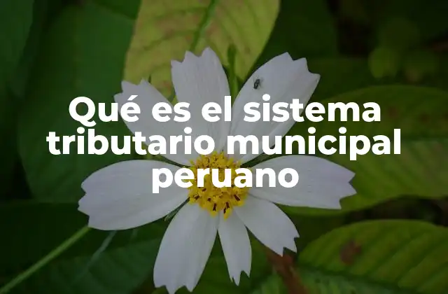 Qué es el Sistema Tributario Municipal Peruano