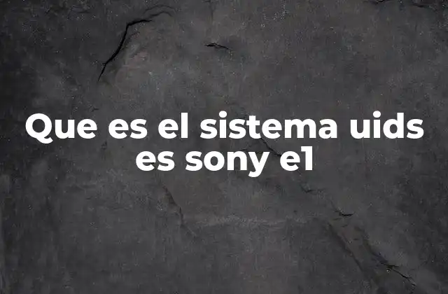 Que es el Sistema Uids es Sony E1