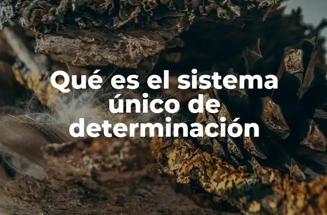 Qué es el Sistema Único de Determinación