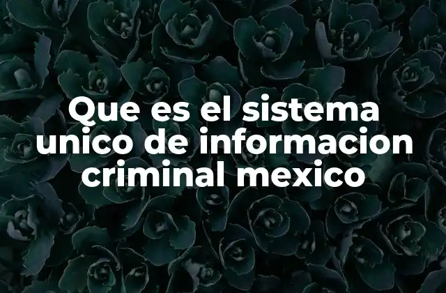 Que es el Sistema Unico de Informacion Criminal Mexico