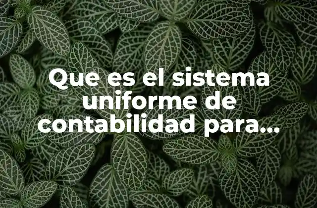 Que es el Sistema Uniforme de Contabilidad para Empresas 2 La importancia de contar con un sistema estandarizado en la gestión empresarial