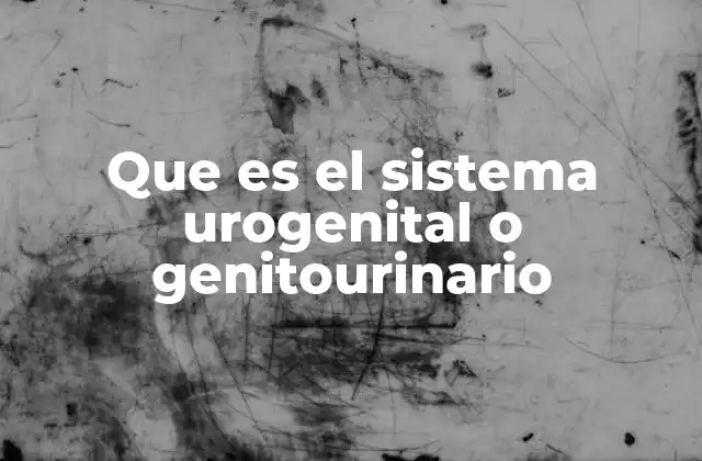 Que es el Sistema Urogenital o Genitourinario