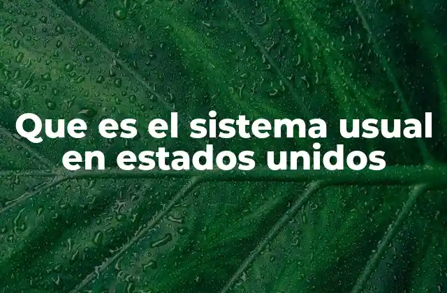 Que es el Sistema Usual en Estados Unidos
