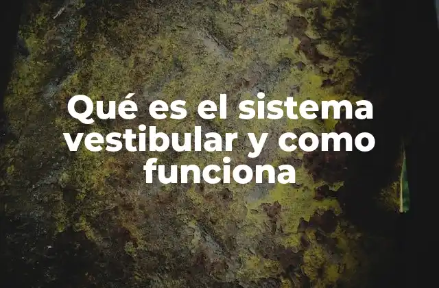 Qué es el Sistema Vestibular y como Funciona