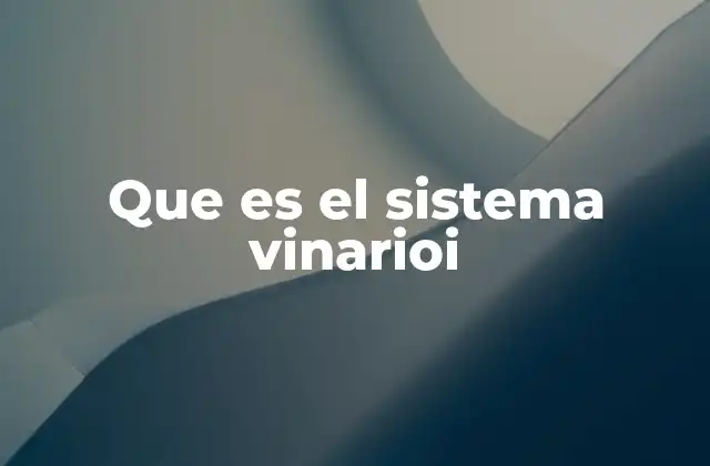 Que es el Sistema Vinarioi