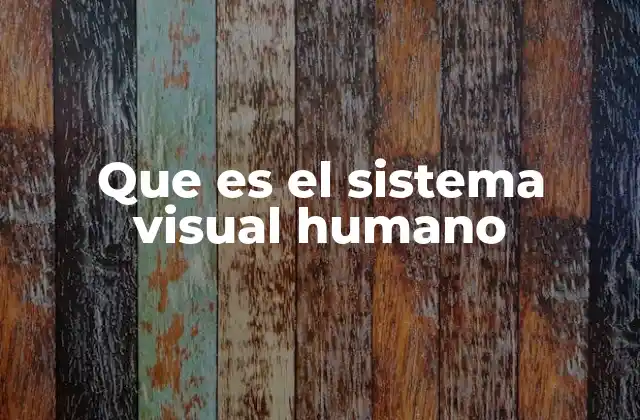 Que es el Sistema Visual Humano 2 La importancia del sistema visual en la percepción humana