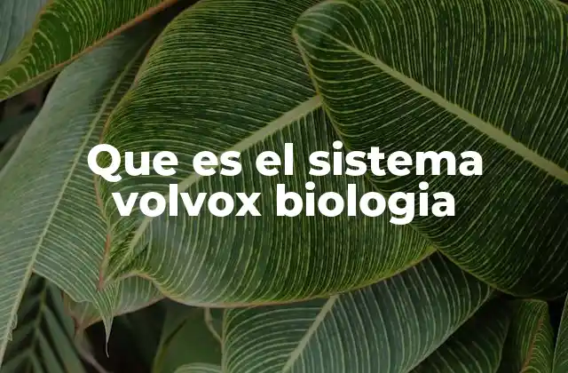 Que es el Sistema Volvox Biologia