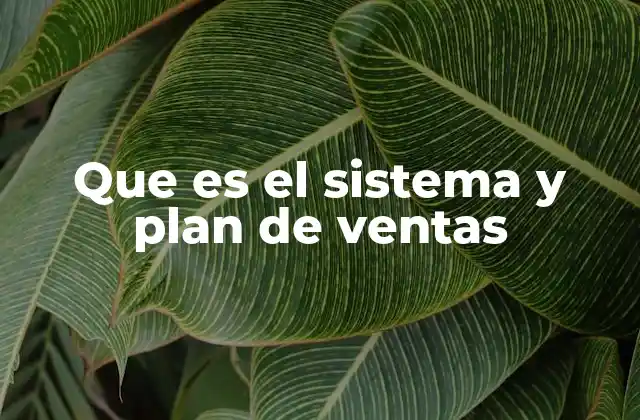 Que es el Sistema y Plan de Ventas