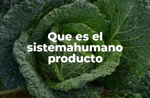 Que es el Sistemahumano Producto