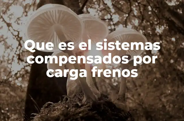 Que es el Sistemas Compensados por Carga Frenos