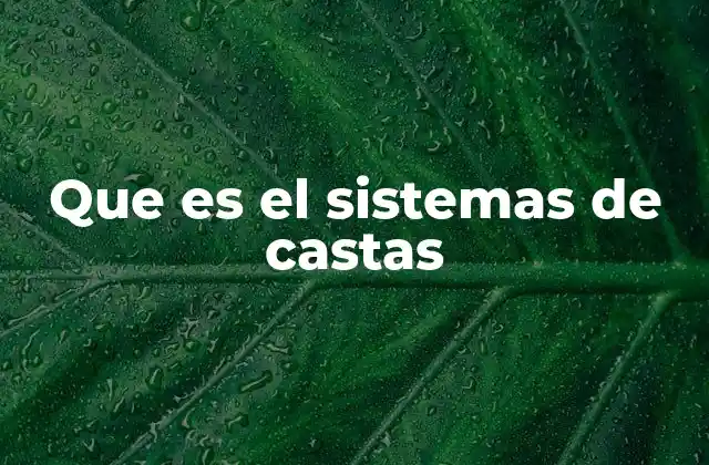 Que es el Sistemas de Castas
