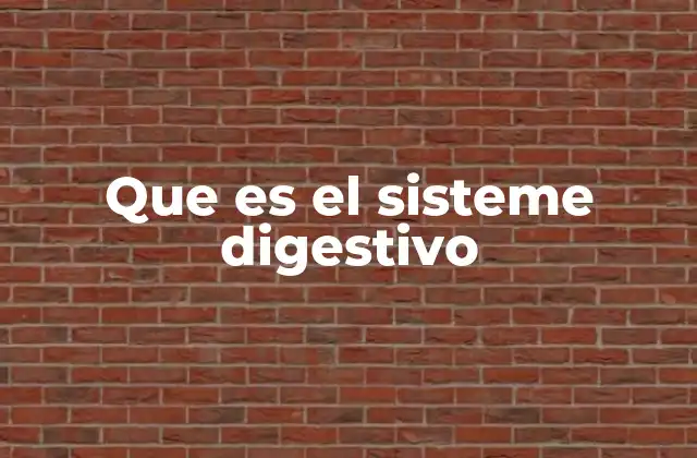 Que es el Sisteme Digestivo