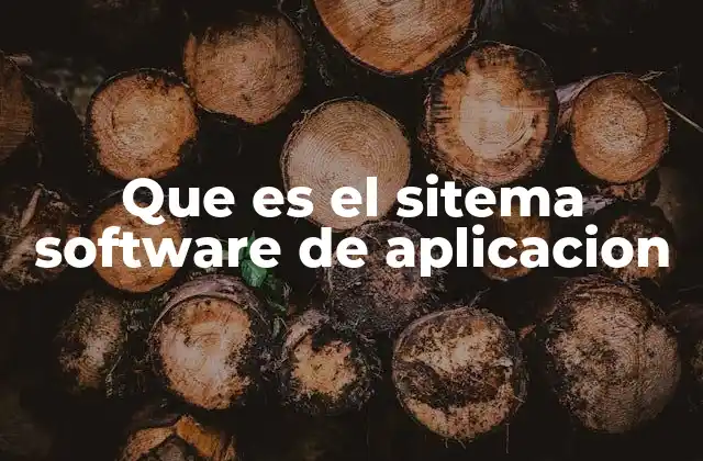 Que es el Sitema Software de Aplicacion
