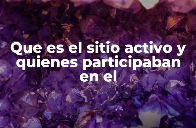 Que es el Sitio Activo y Quienes Participaban en el
