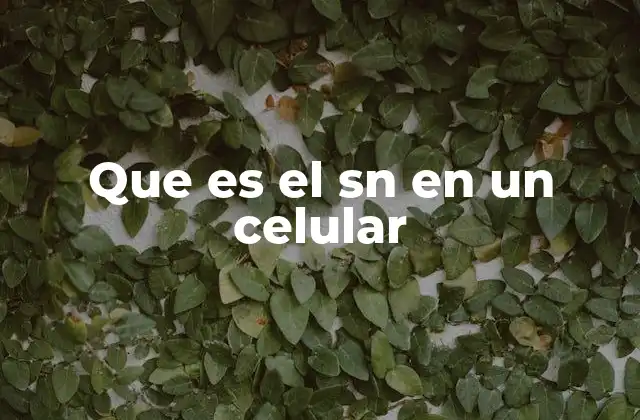 Que es el Sn en un Celular