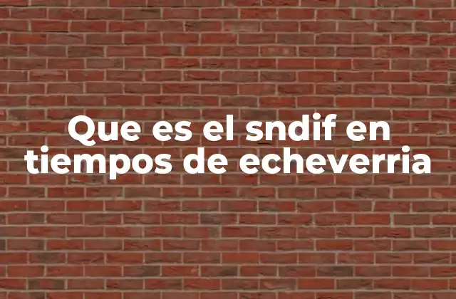Que es el Sndif en Tiempos de Echeverria
