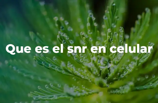 Que es el Snr en Celular