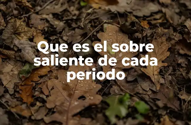 Que es el sobre Saliente de Cada Periodo