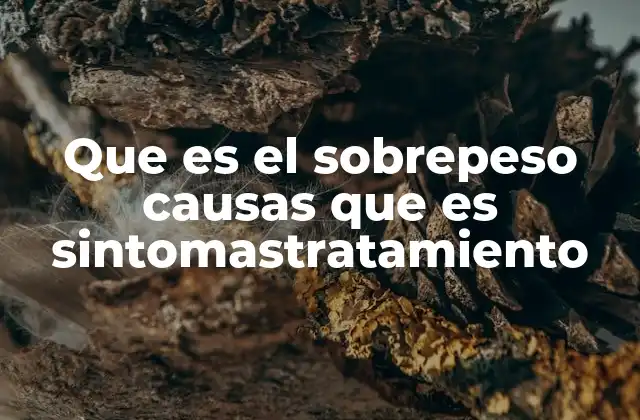 Que es el Sobrepeso Causas que es Sintomastratamiento