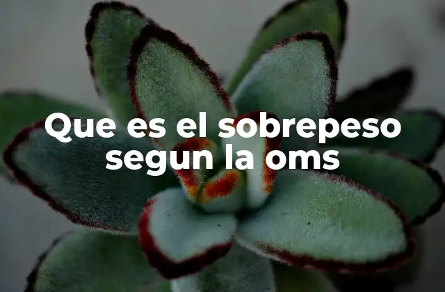 Que es el Sobrepeso Segun la Oms