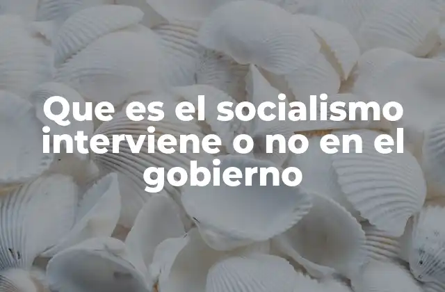 Que es el Socialismo Interviene o No en el Gobierno