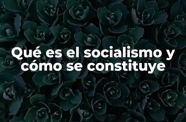 Qué es el Socialismo y Cómo Se Constituye