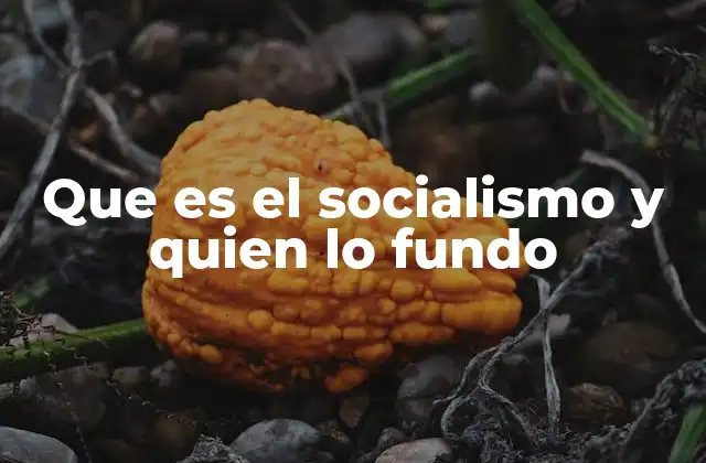 Que es el Socialismo y Quien Lo Fundo