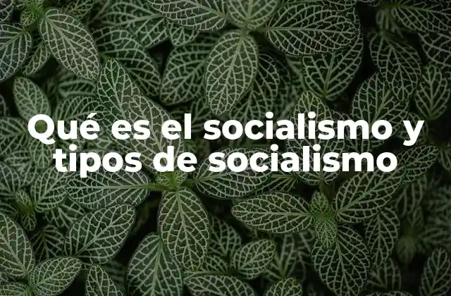 Qué es el Socialismo y Tipos de Socialismo