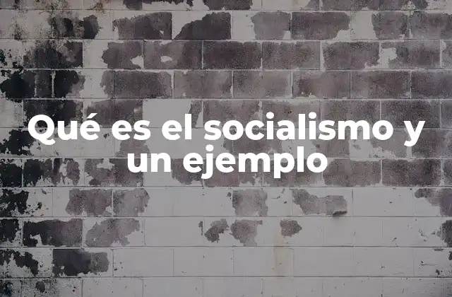 Qué es el Socialismo y un Ejemplo
