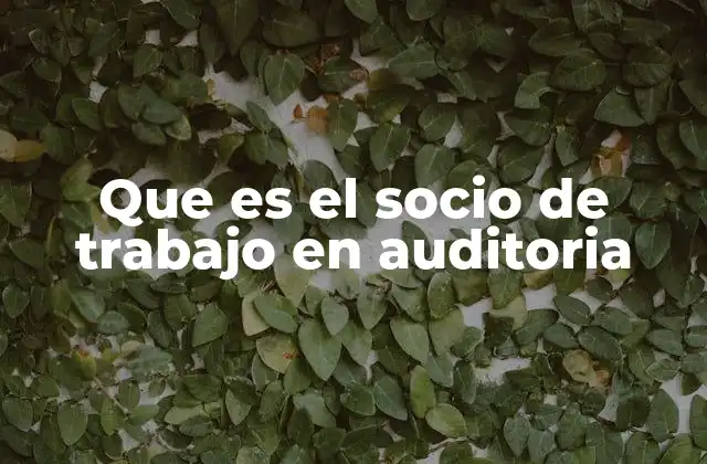 Que es el Socio de Trabajo en Auditoria