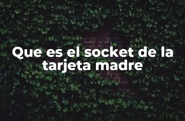 Que es el Socket de la Tarjeta Madre 2 Funciones del socket en la arquitectura de una computadora