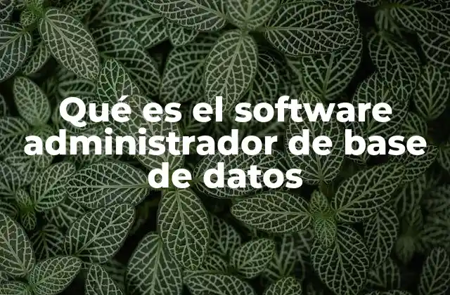 ¿Cómo funciona un software de gestión de bases de datos?