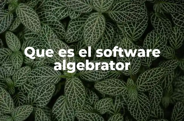 Que es el Software Algebrator