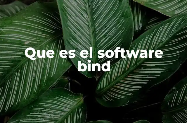 Que es el Software Bind