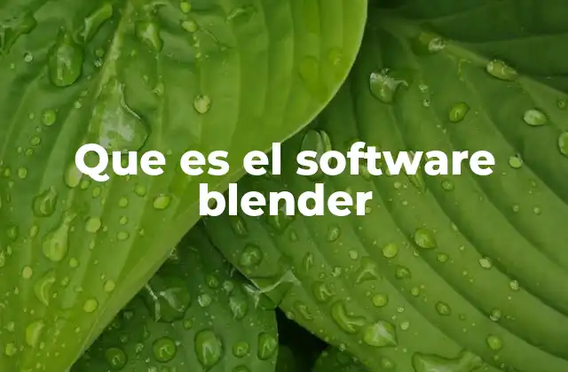 Que es el Software Blender