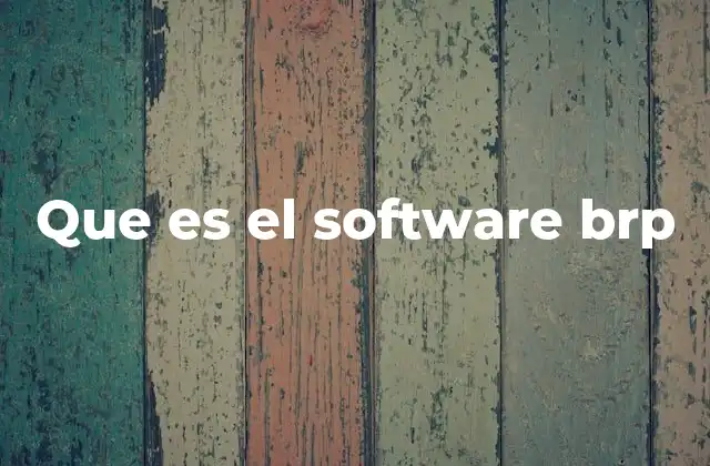 Que es el Software Brp