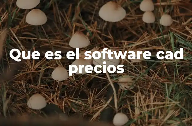 Que es el Software Cad Precios