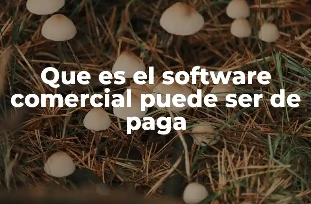 Que es el Software Comercial Puede Ser de Paga