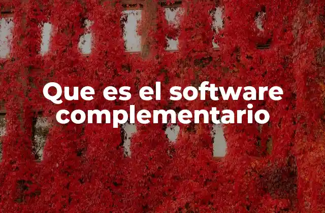 Que es el Software Complementario