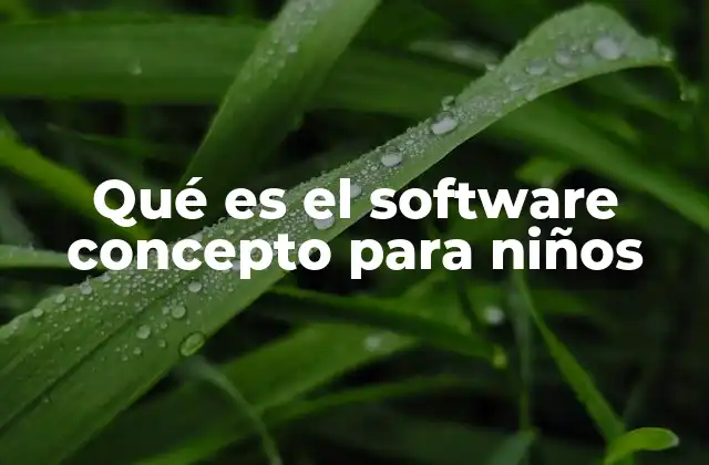 Qué es el Software Concepto para Niños 2 Cómo los niños interactúan con el software