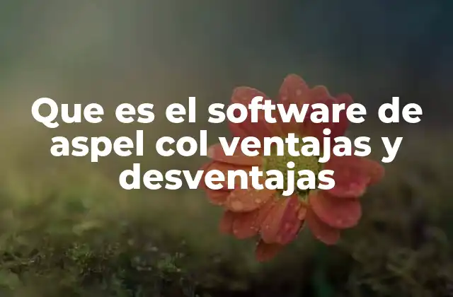Que es el Software de Aspel Col Ventajas y Desventajas