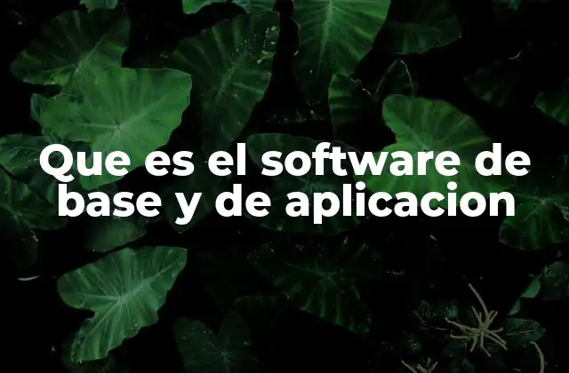 Que es el Software de Base y de Aplicacion