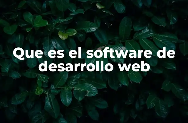 Que es el Software de Desarrollo Web