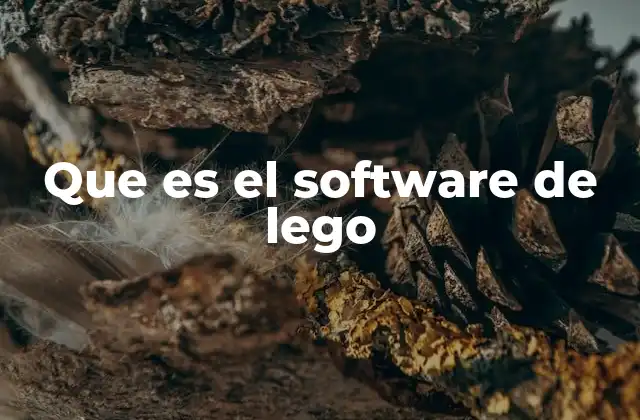 Que es el Software de Lego