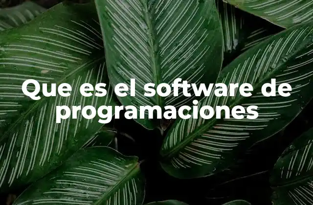 Que es el Software de Programaciones