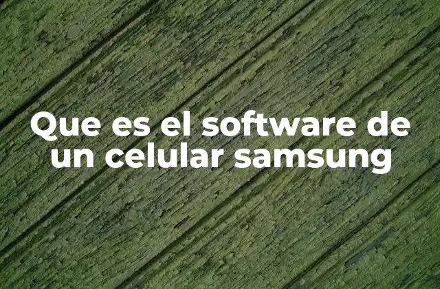 Que es el Software de un Celular Samsung